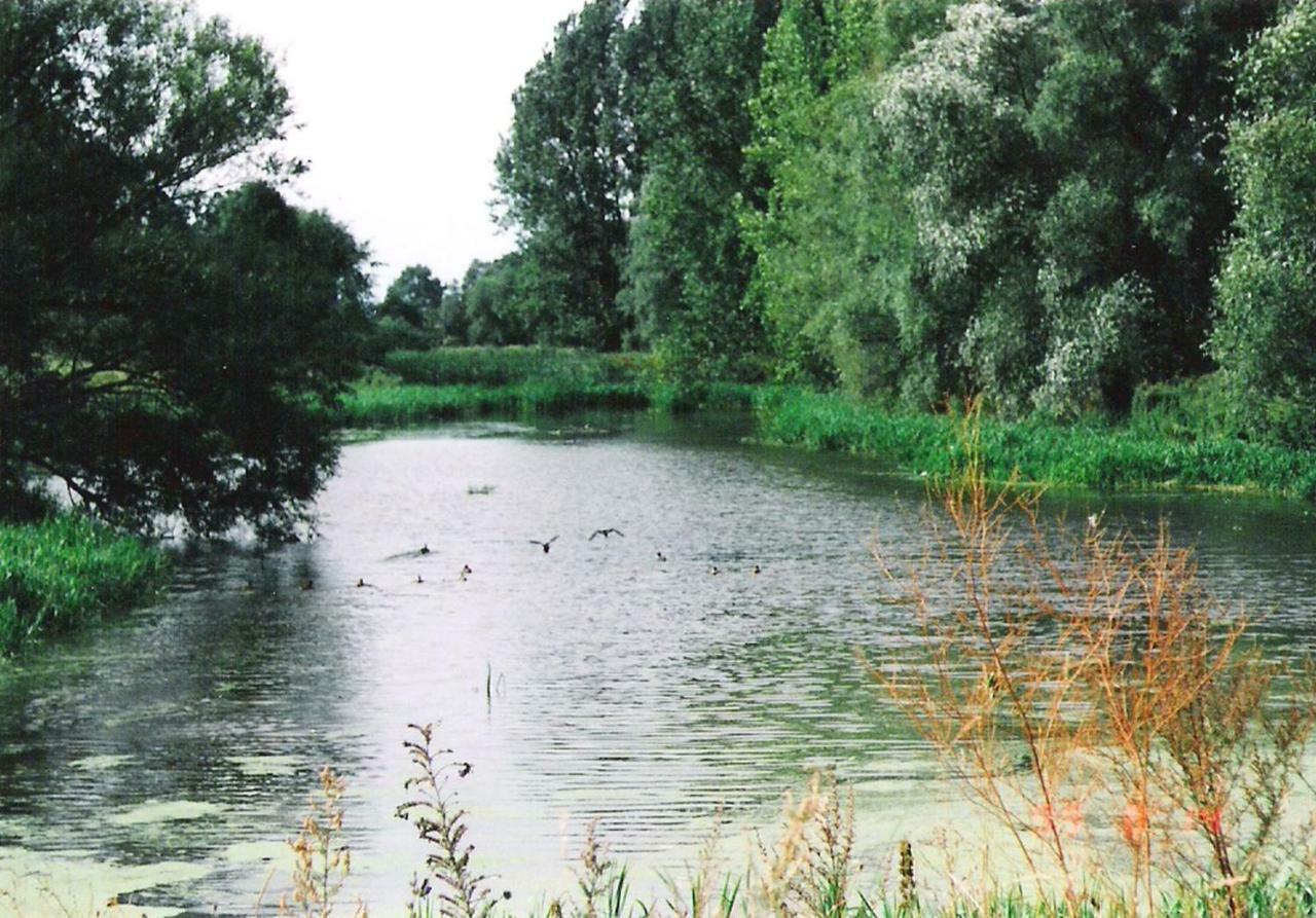 Star Camp Cosa, Ferienwohnungen, Camping, Schlaffaesser Friedland  Buitenkant foto